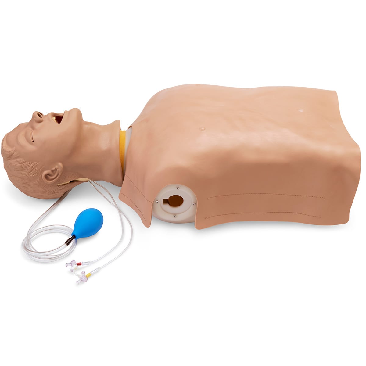 Advanced Airway Larry Airway Management Trainer Torso Adult Airway