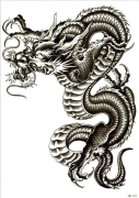 Temporary Tattoo HB-227 Dragon – Temporary Tattoos – Dublin Body Paint