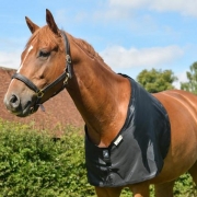 Bossy Bibs Small Full – TC Feeds & Tack Haven