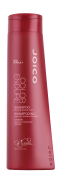 Color Endure Shampoo