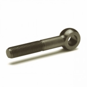 Eye Swing Bolt