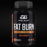 Fat Burn 60 Tablets