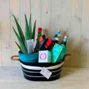 Gift Hamper and Aloe Vera Plant – Blooming Amazing