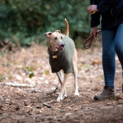 Dog Coats for Lurchers – Dog Coats by Stix and Co. M – Charcoal – Pink