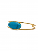 Mona Bangle – KIRO