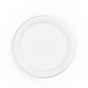 9in source-reduced Bagasse Plate – Pack (50)