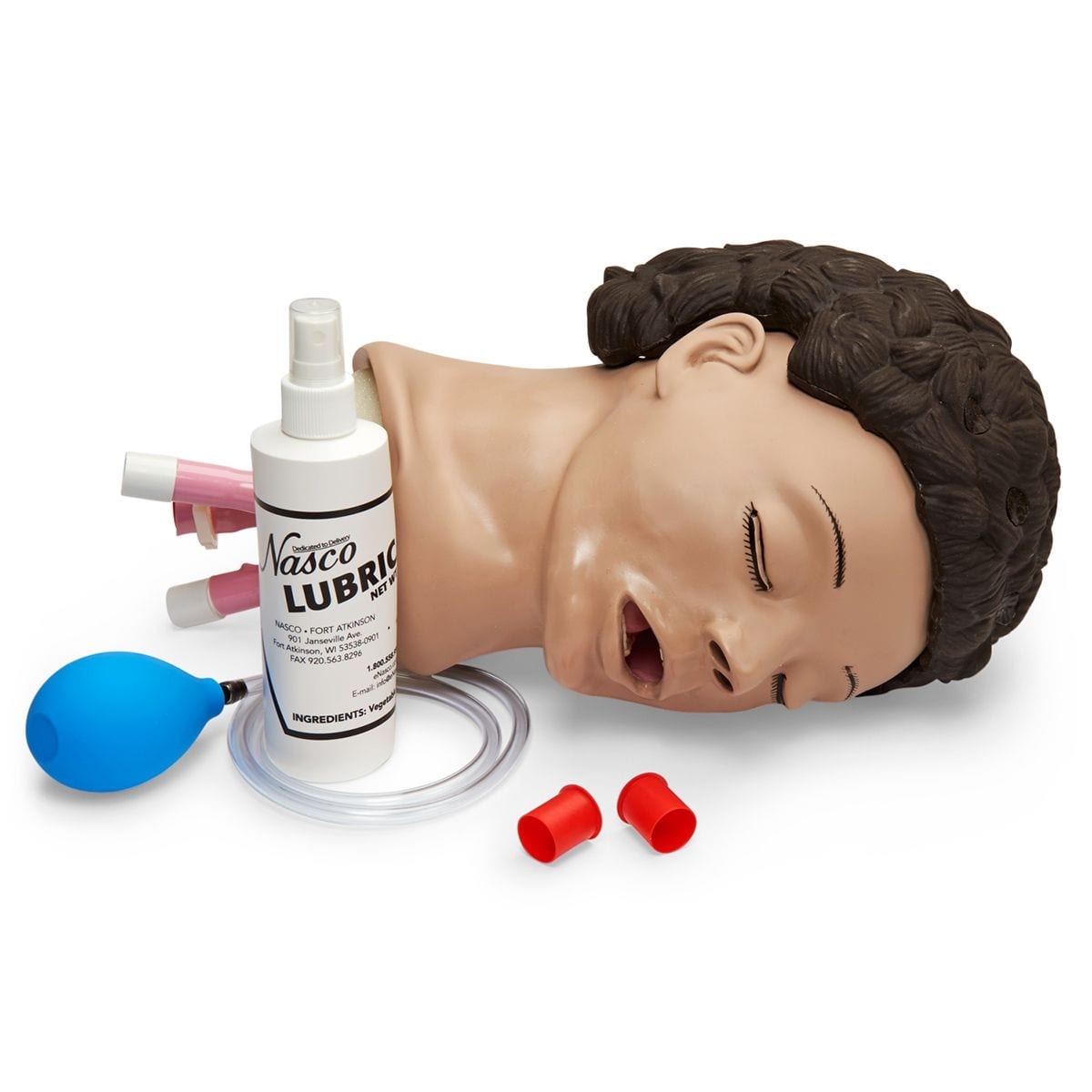 Adult Airway Management Trainer – Head Only – Adult Airway Management Heads – Medical Teaching Equipment – Simulaids