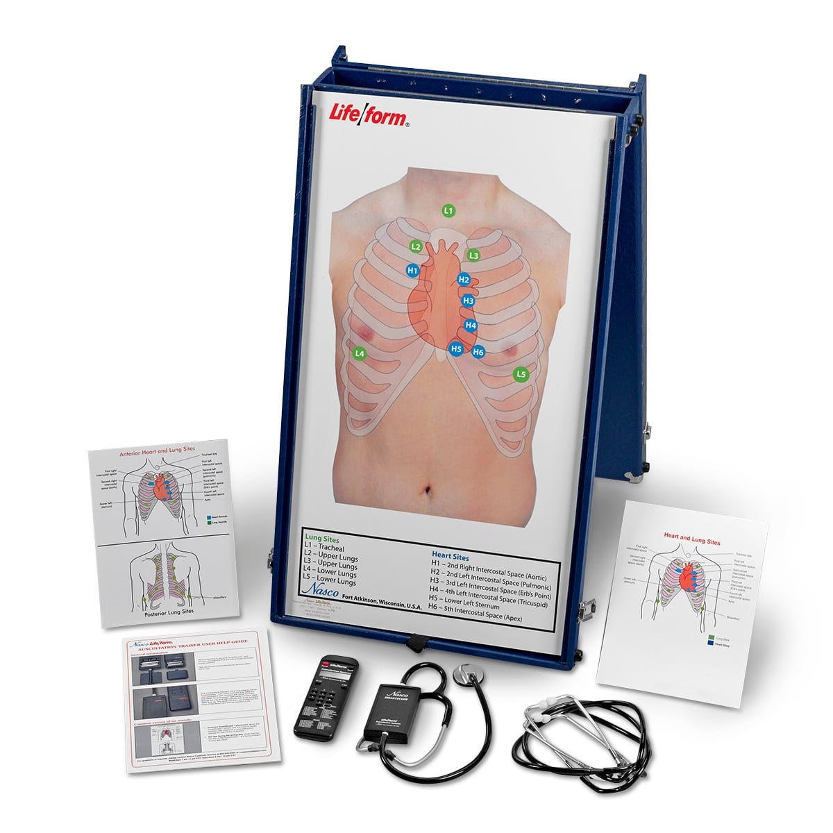 Anterior Auscultation Practice Board with Case and SmartScope – Auscultation Trainer & SmartScope – Medical Teaching Equipment – Simulaids