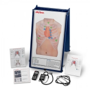 Anterior Auscultation Practice Board with Case and SmartScope – Auscultation Trainer & SmartScope – Medical Teaching Equipment – Simulaids