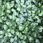 Artificial Boxwood Hedging 50cmx50cm