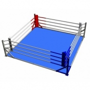 Geezers Club Fixed Floor Mounted Boxing Ring (With Flooring)