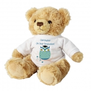 Personalised Mr Owl Teddy T-Shirt