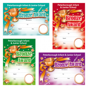 Brain Waves – Children’s Personalised Bronze Award Certificates – Single Pack – Teacher & School Equipment