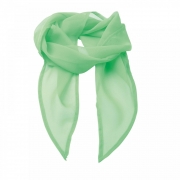 Premier Colours&apos; Chiffon Scarf COLOUR: Apple