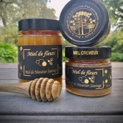 Rare wild hazelnuts Avellano honey – Mr Duck